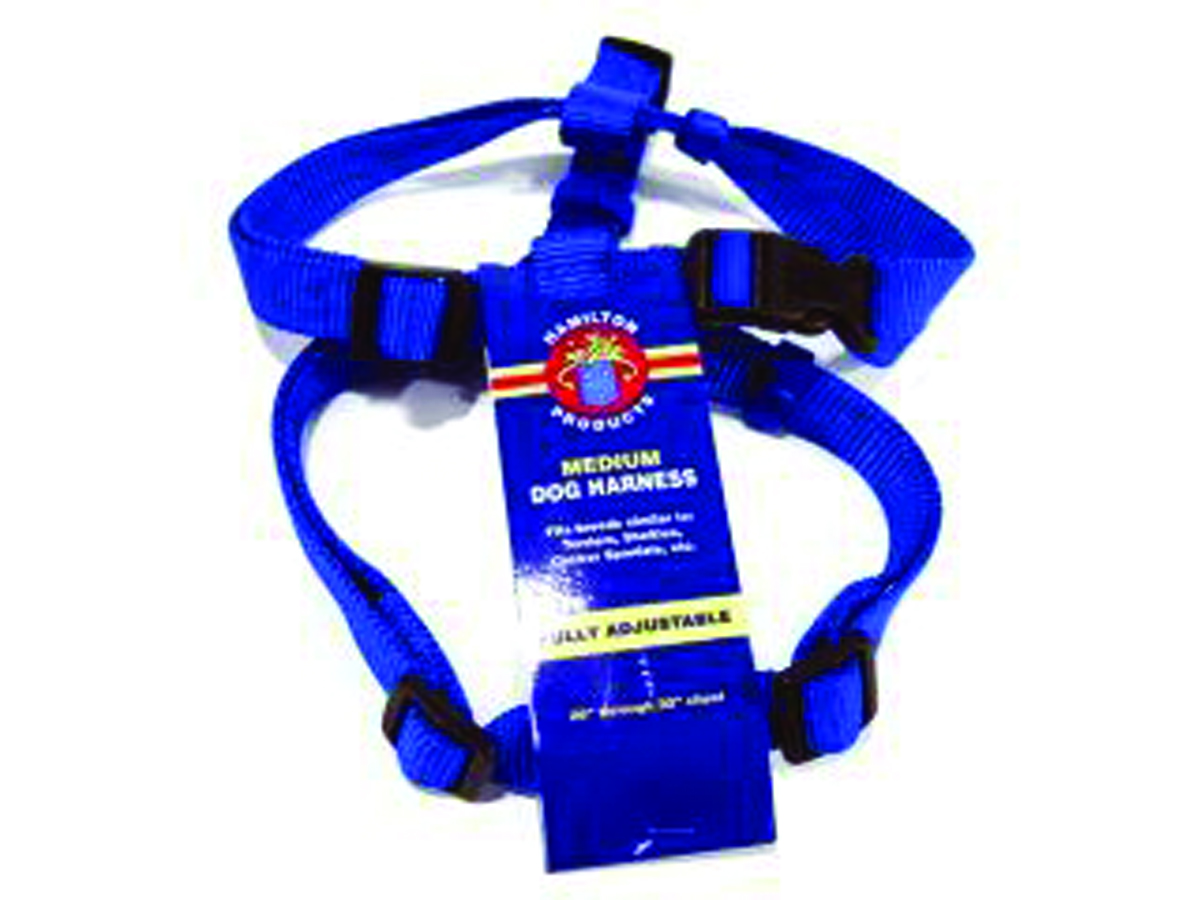 Adjustable Dog Harness - Blue - Medium