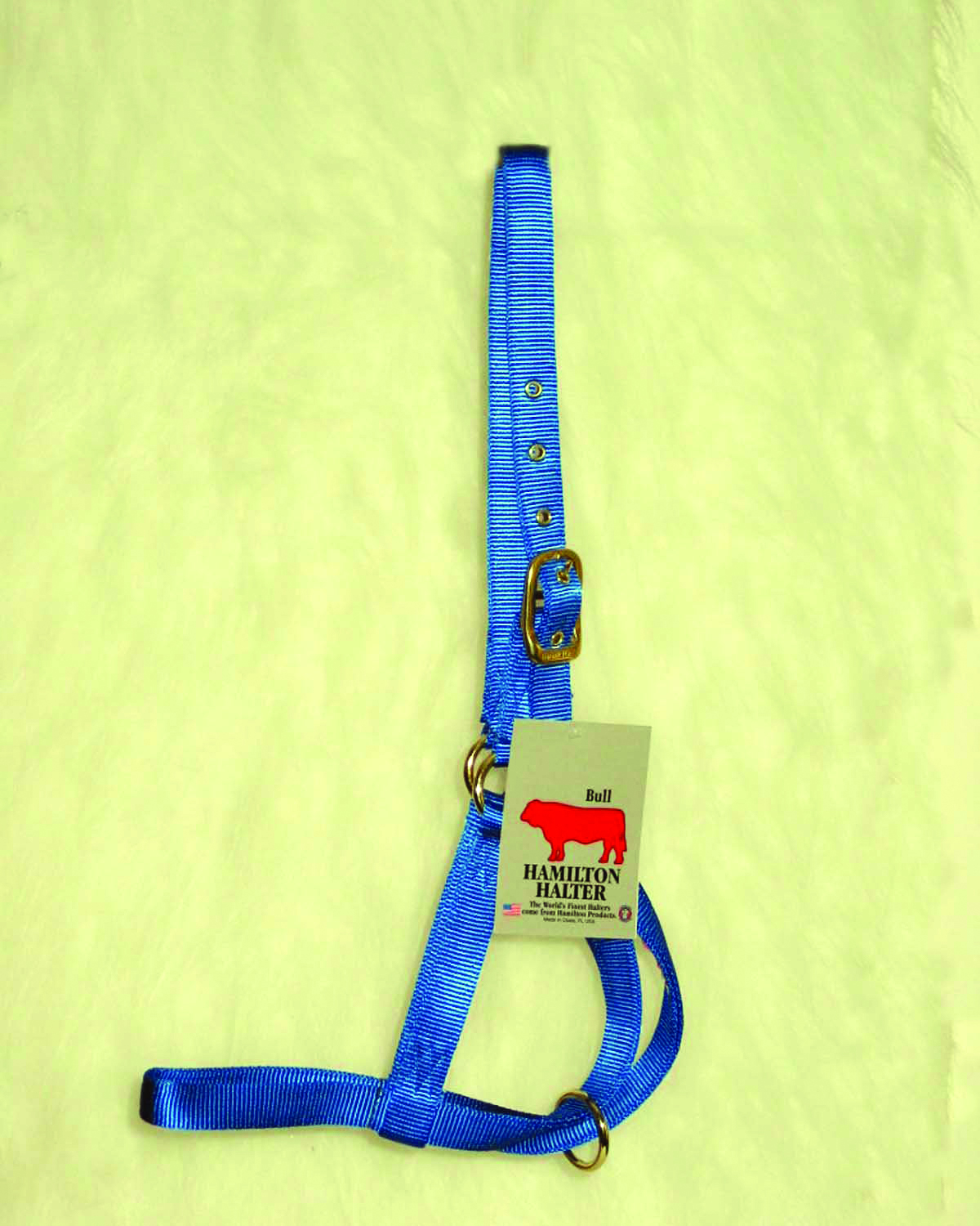 Bull Halter - Blue