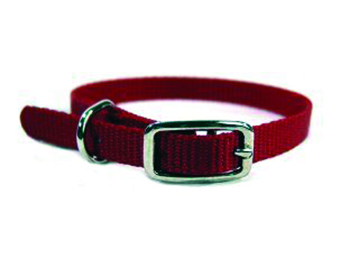 3/8" Nylon Dog Collar - Red 12