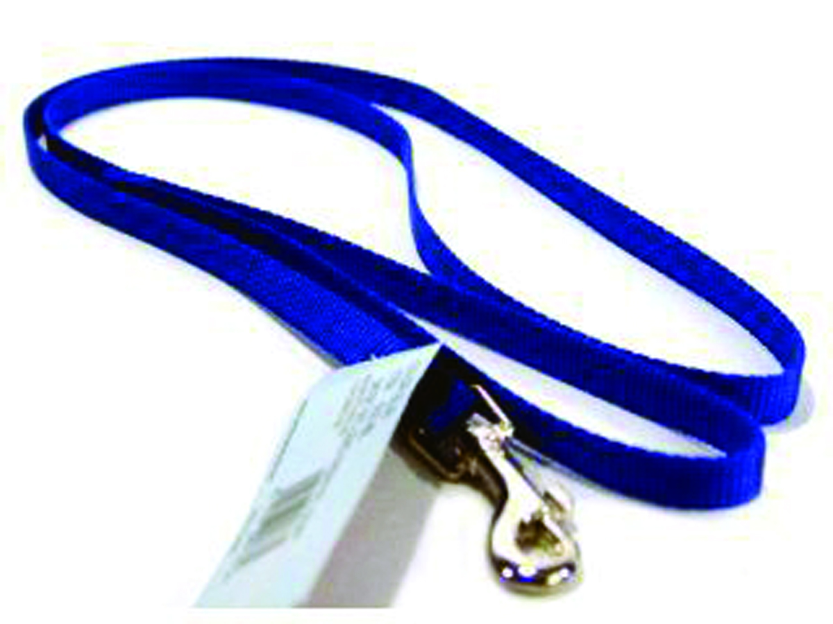 Single Thick Nylon Leash - Blue