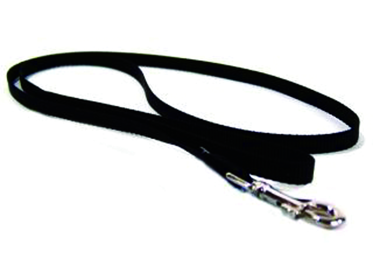 Single Thick Nylon Leash - Black