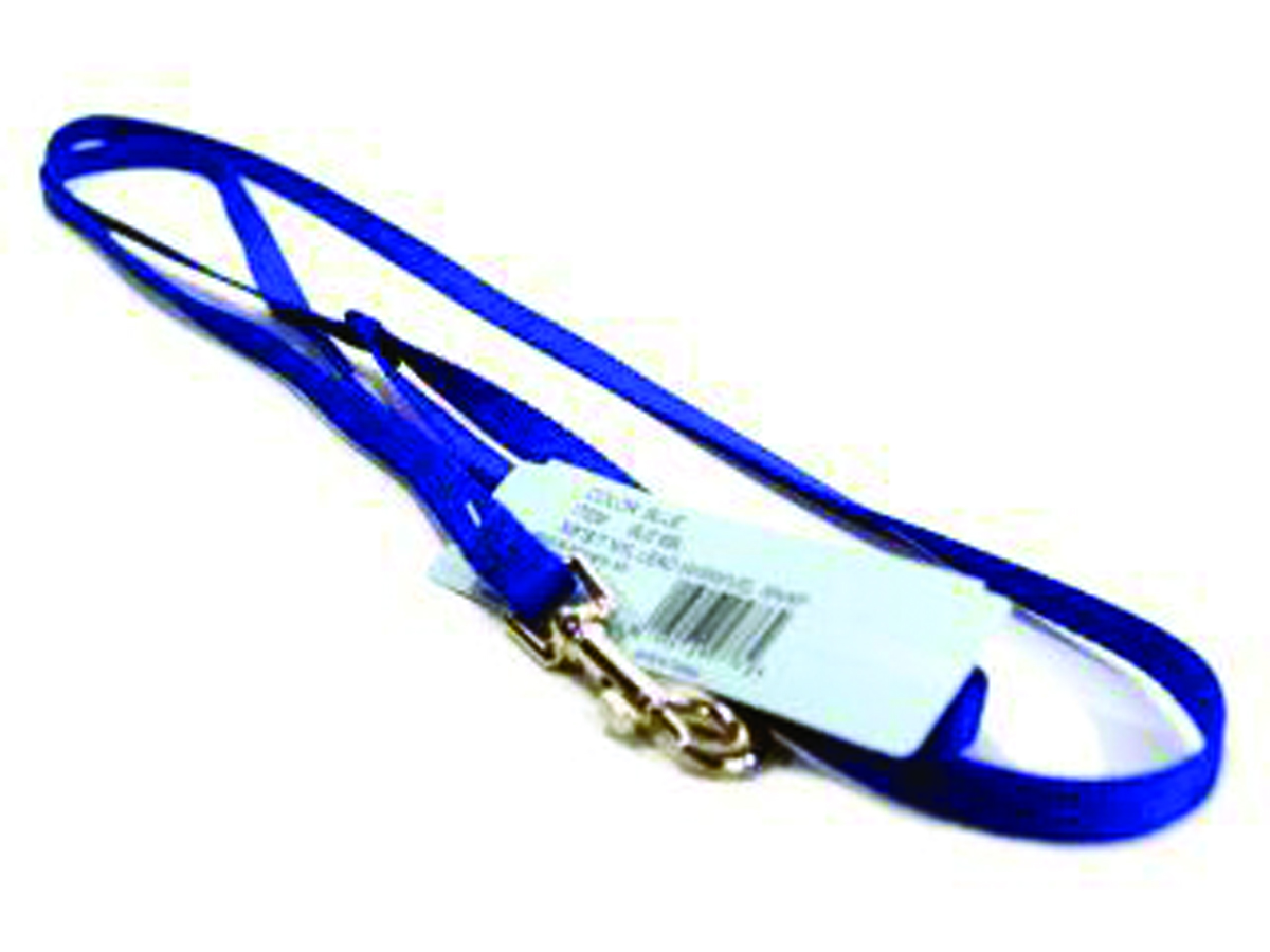 Single Thick Nylon Leash - Blue