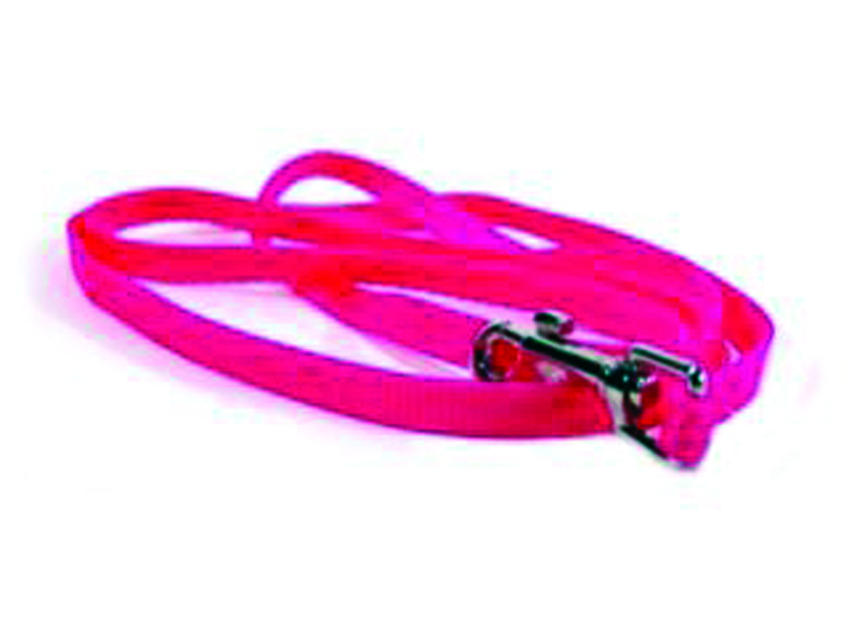 Single Thick Nylon Leash - Hot Pink