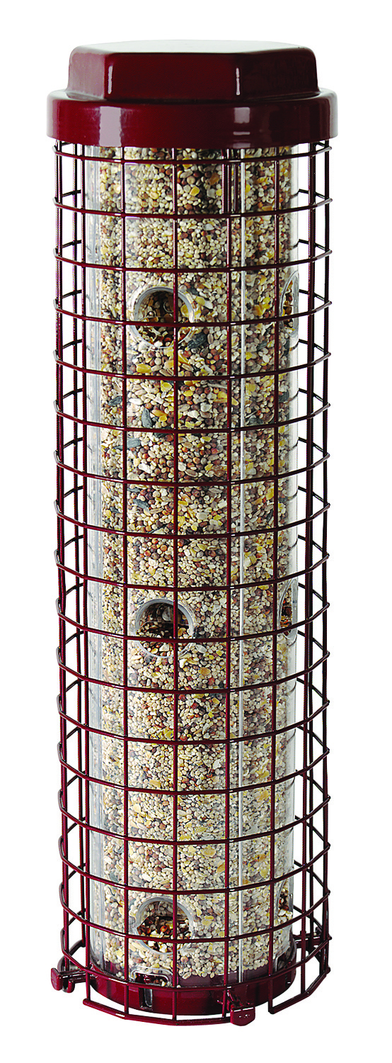 SQUIRREL DILEMMA E-Z FEEDER