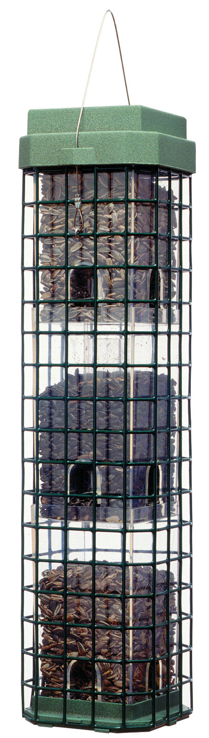 Squirrel Dilemma Feeder