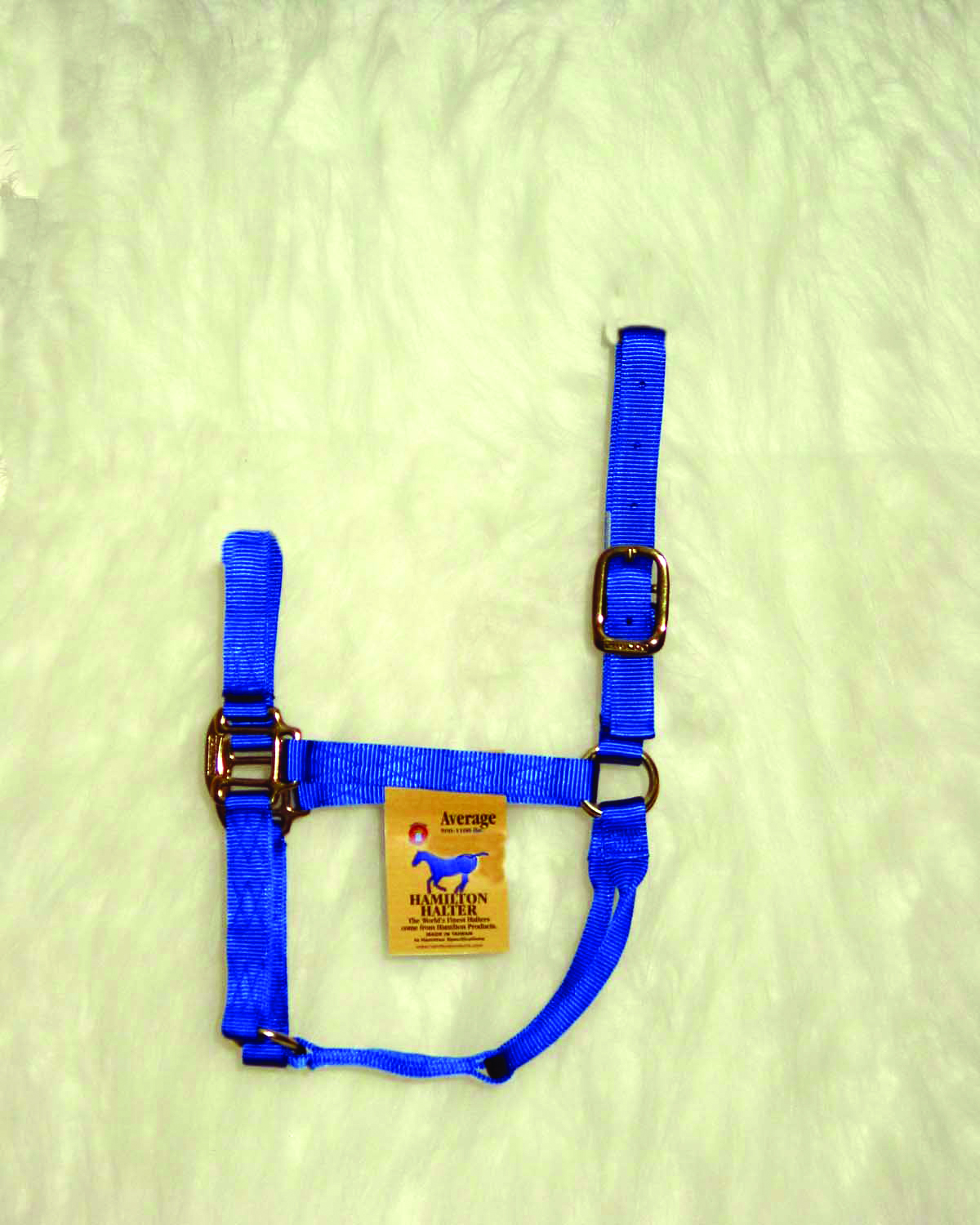 1" Quality Halter - Blue - Average