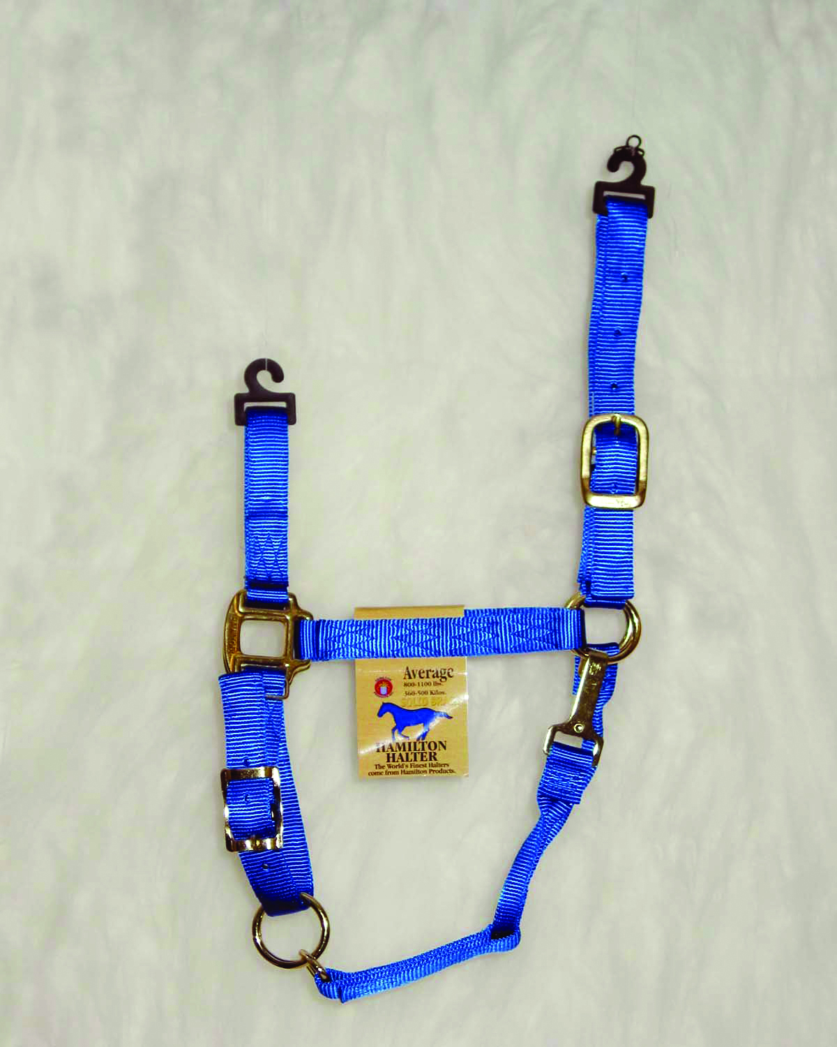 Quality Halter W/snap - Blue