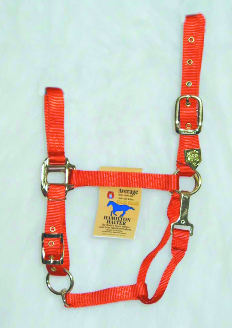 1" Adjustable Halter W/snap - Mango - Average