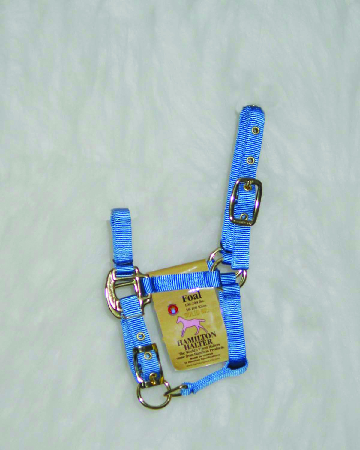 Foal Nylon Adj Halter - Berry