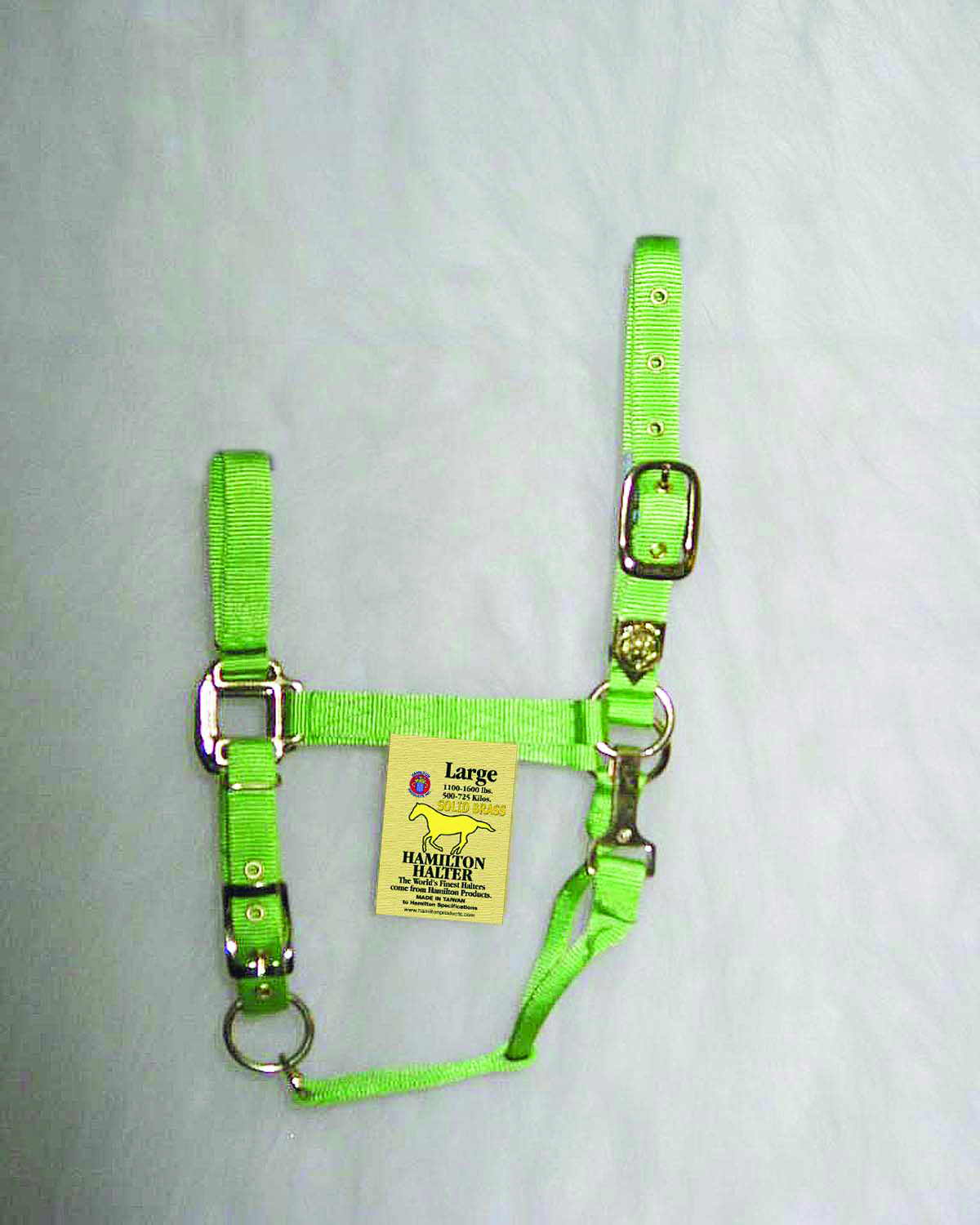 1" Adjustable Halter W/snap - Lime - Large