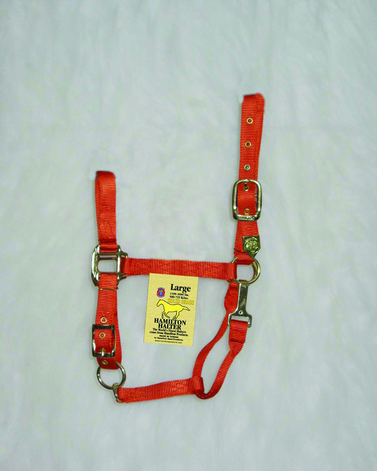 1" Adjustable Halter W/snap - Mango - Large