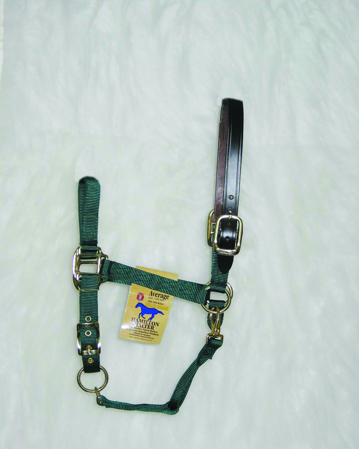 Adjustable Halter W/leather Head Poll - Dark Green - Yearling