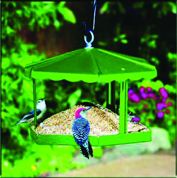 FLY - THRU GAZEBO BIRD FEEDER