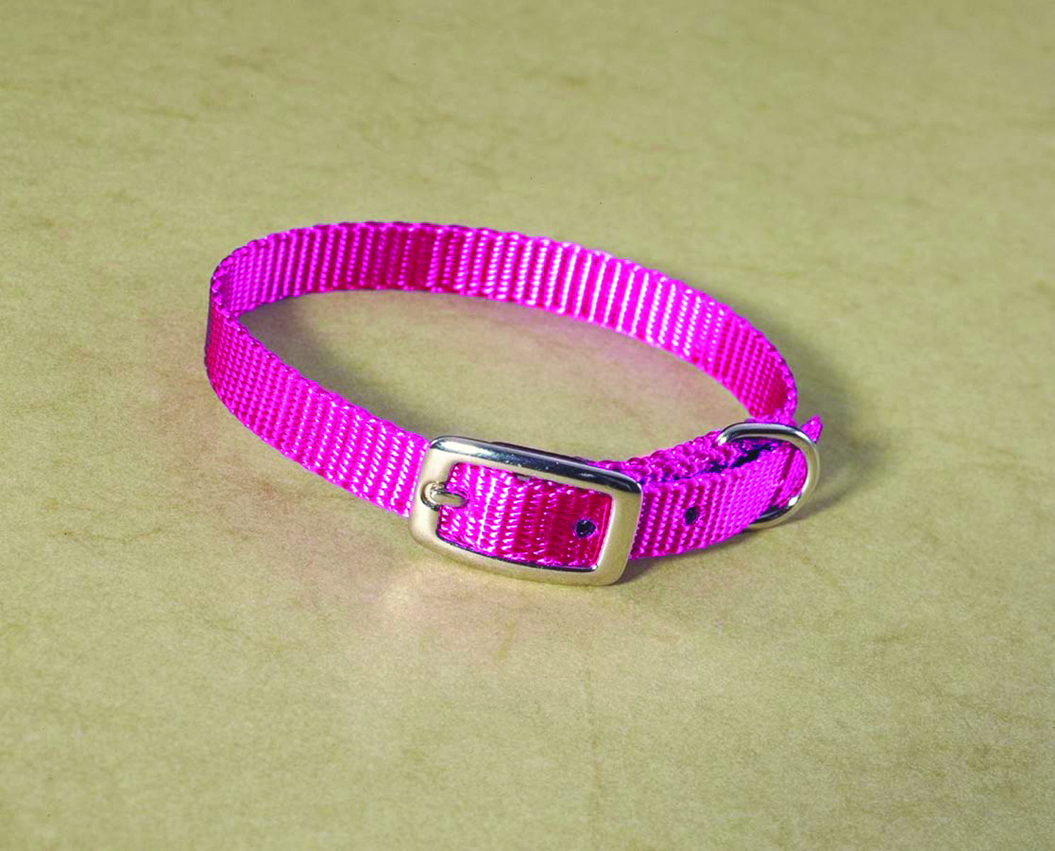 3/8" Nylon Dog Collar - Hot Pink 12