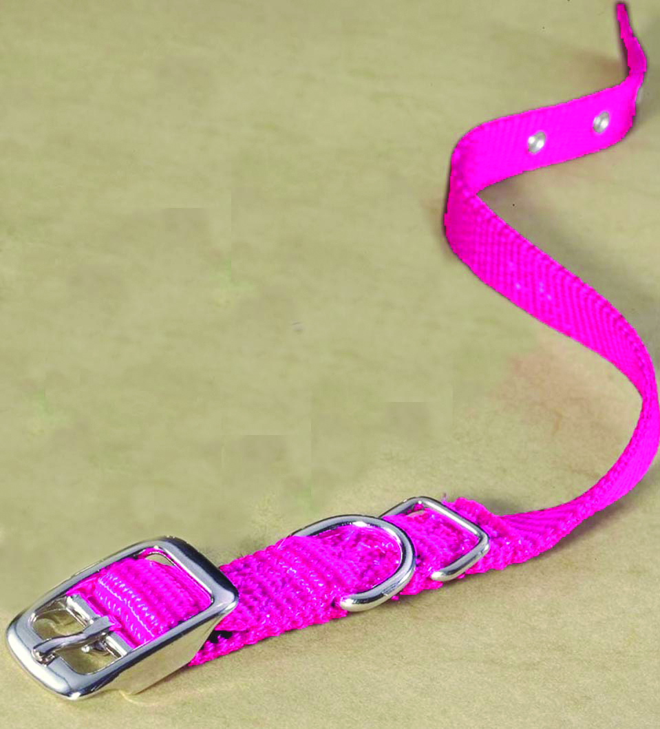 5/8" Nylon Dog Collar - Hot Pink 14