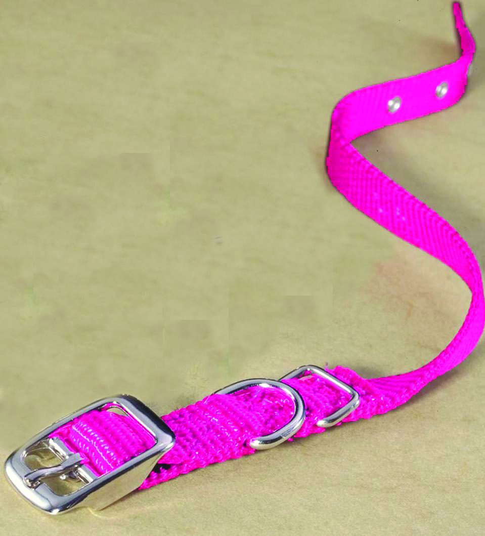 5/8" Nylon Dog Collar - Hot Pink 16