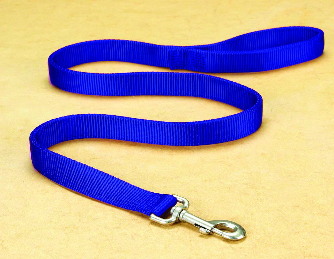 1" Deluxe Double Loop Nylon Lead w/swivel snap - Blue (4')