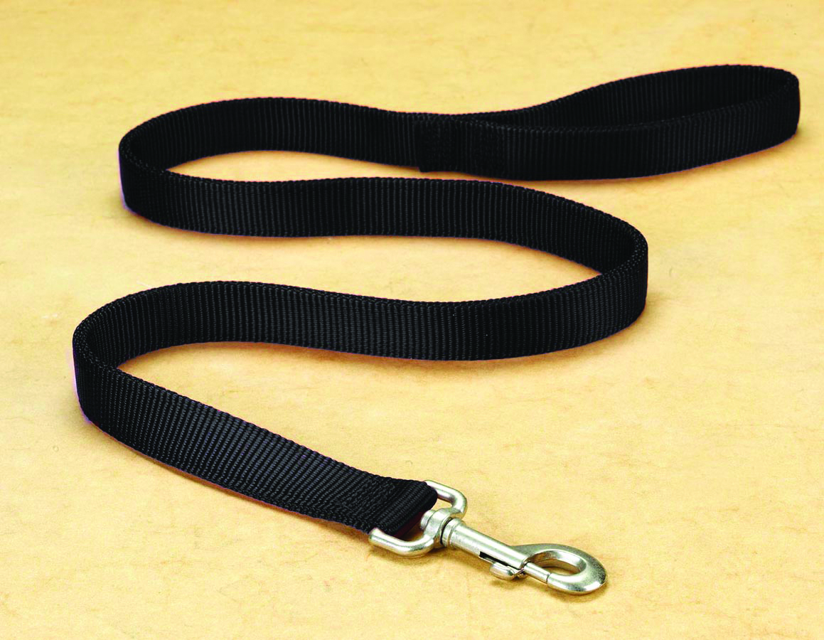 1" Deluxe Double Loop Nylon Lead w/swivel snap - Black (4'