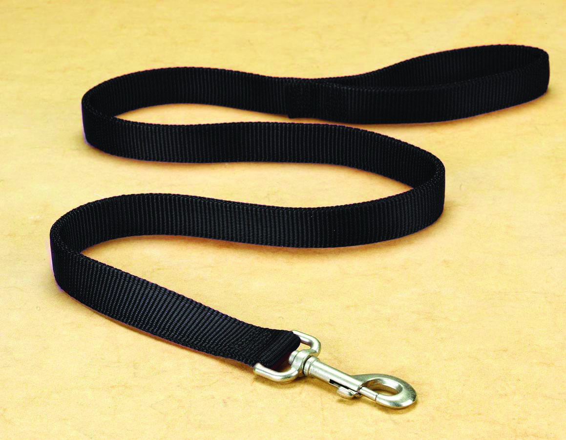 1" Deluxe Double Loop Nylon Lead w/swivel snap - Black (6'