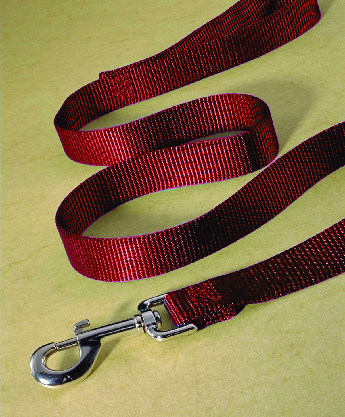 Single Thick Nylon Leash With Snap - Red