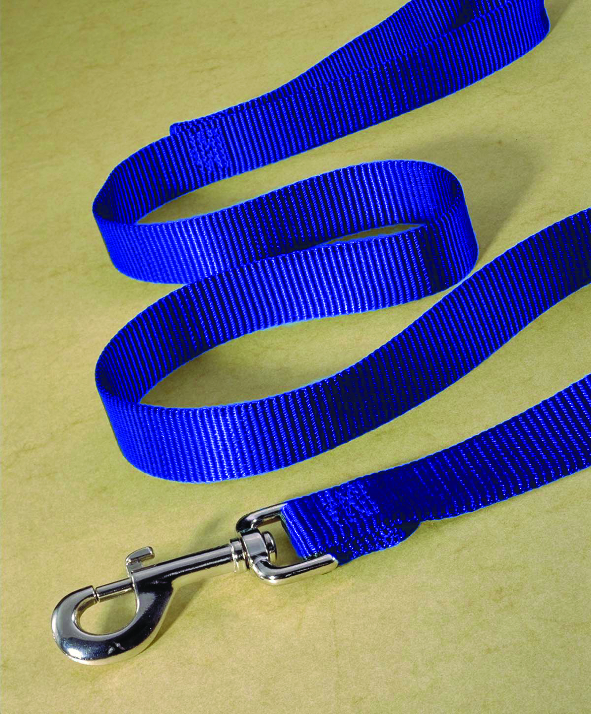 Single Thick Nylon Leash With Snap - Blue