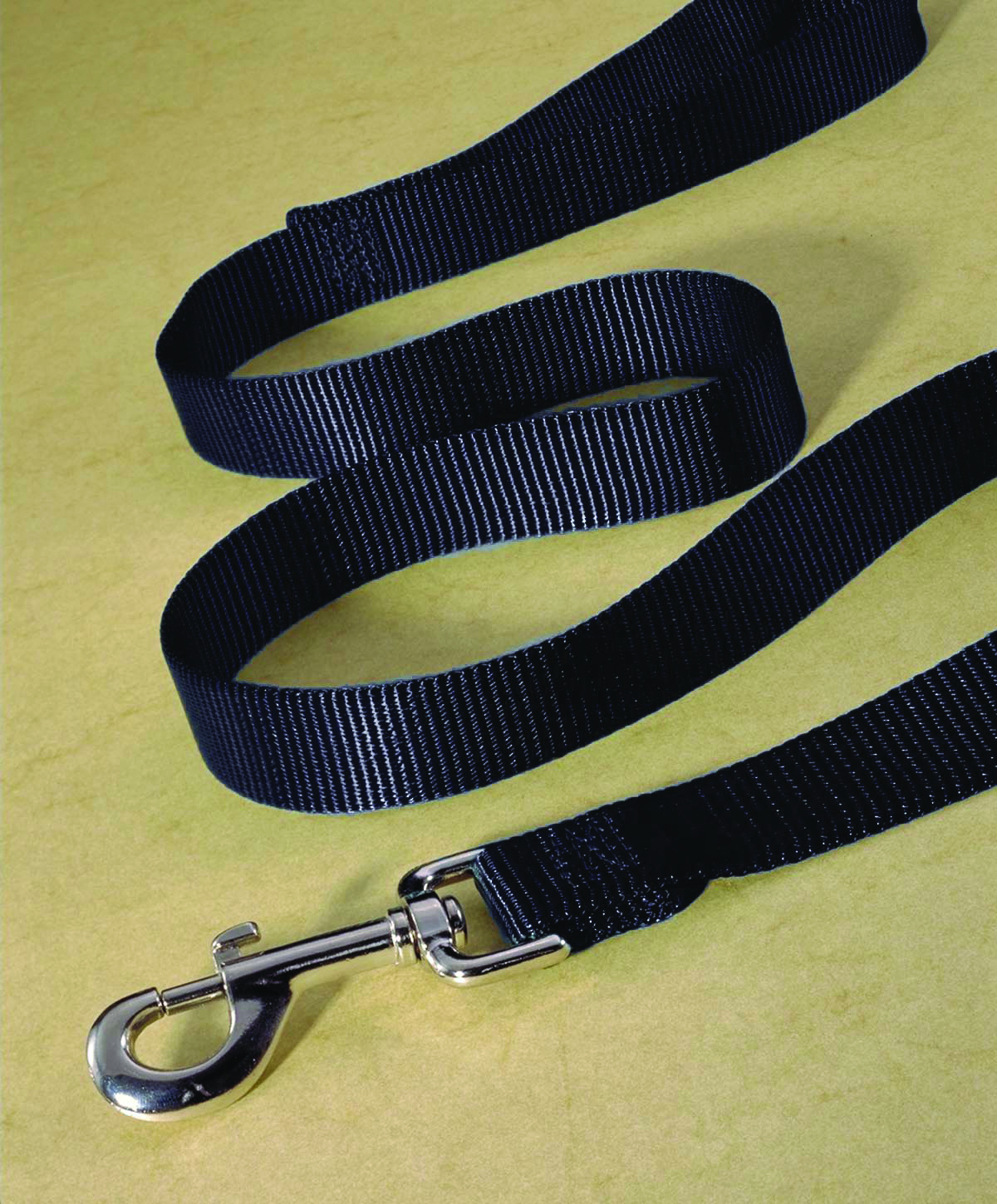 Single Thick Nylon Leash With Snap - Black