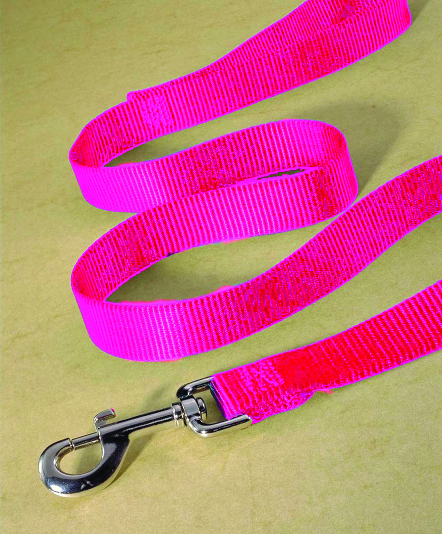 Single Thick Nylon Leash With Snap - Hot Pink