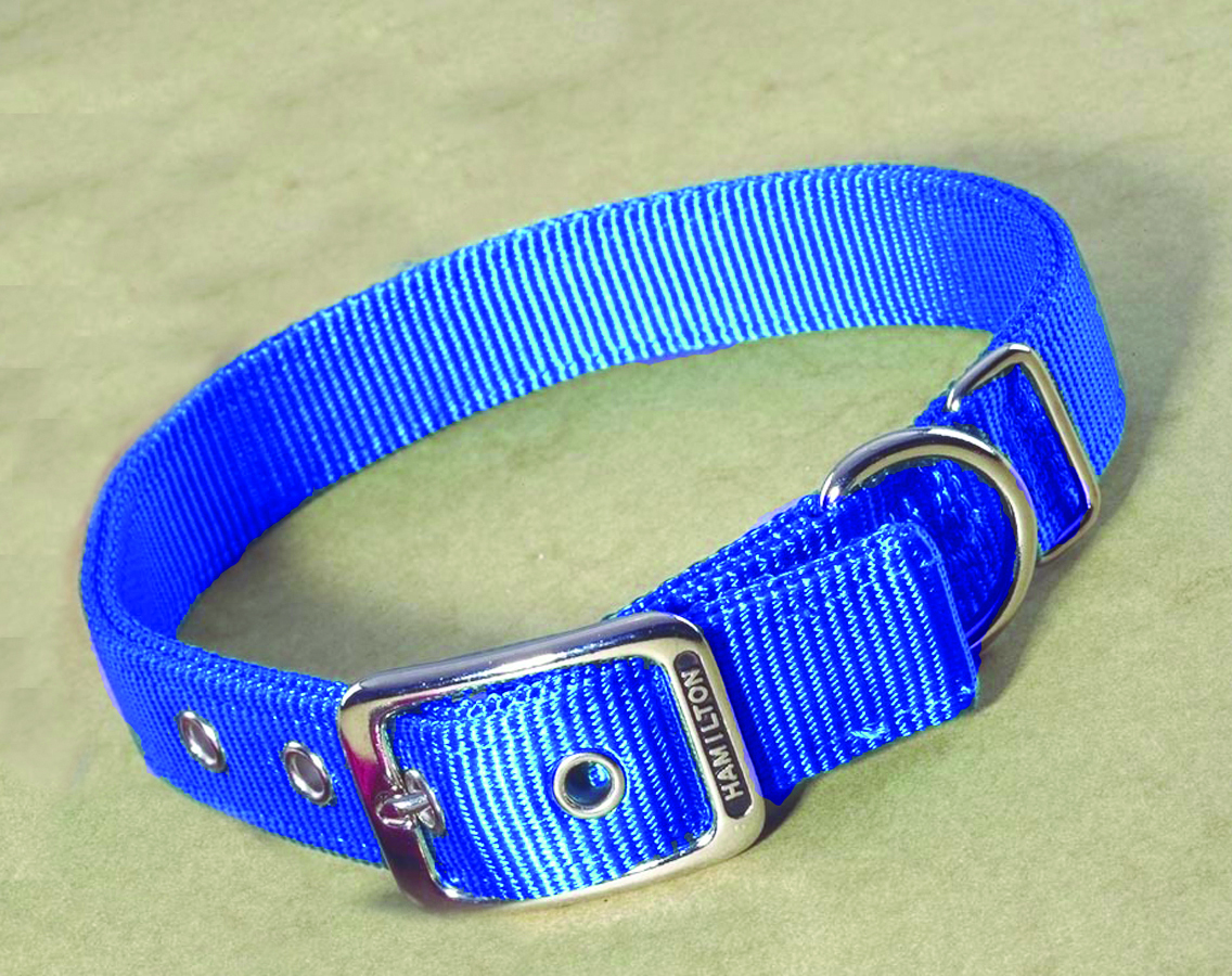 Deluxe Double Thick Nylon Collar - Blue - 1" X 30"