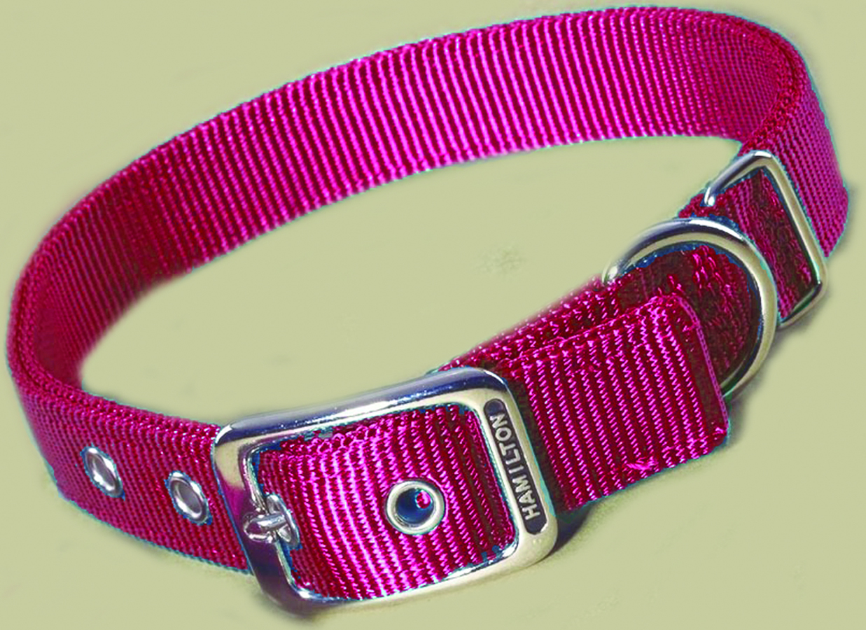 Deluxe Double Thick Nylon Collar - Red - 1" X 32"