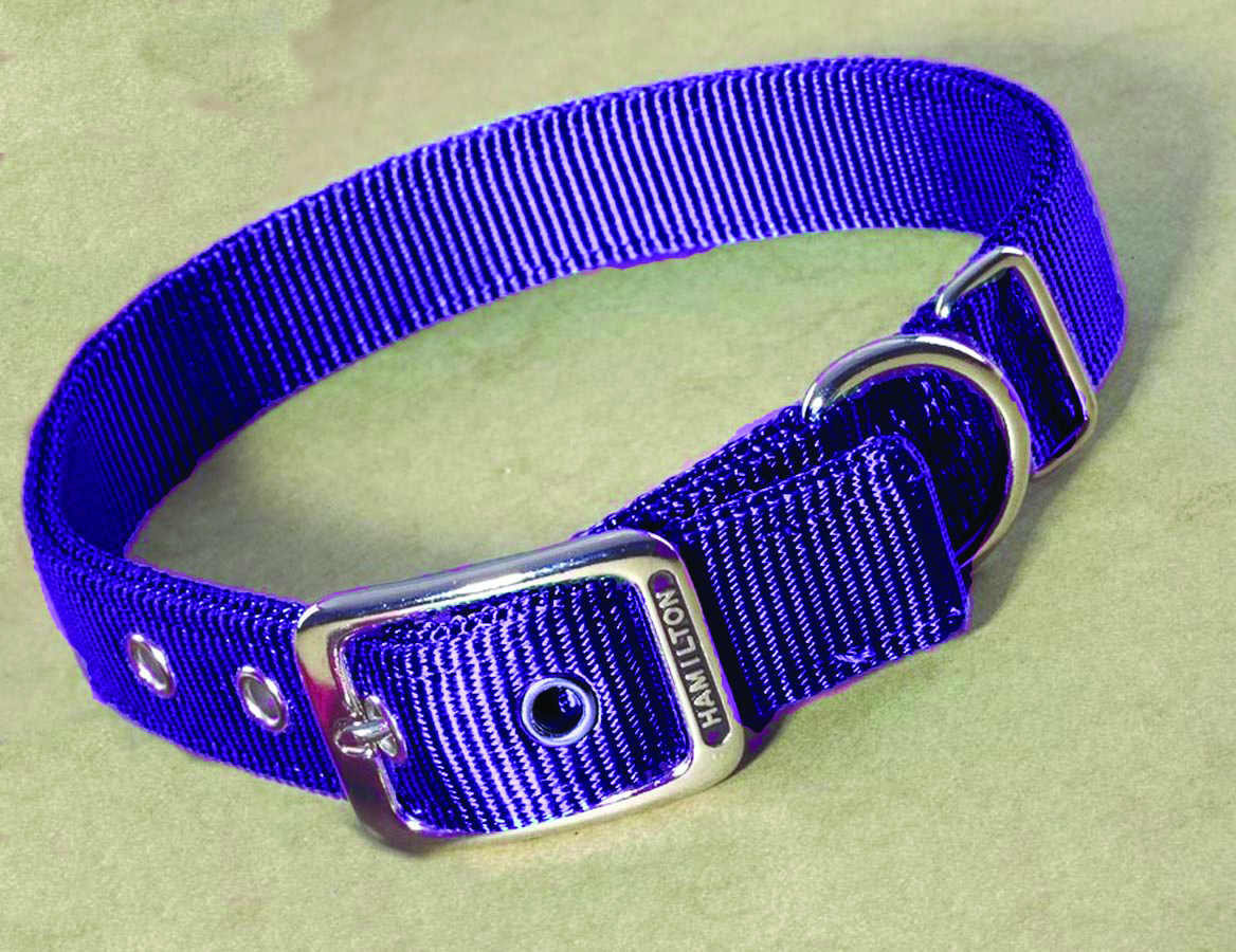 Deluxe Double Thick Nylon Collar - Hot Purple - 1" X 24"