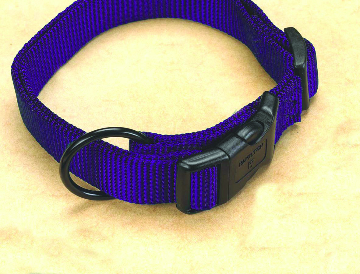 1" Fits All Adjustable Nylon Collar - Hot Purple 18-26