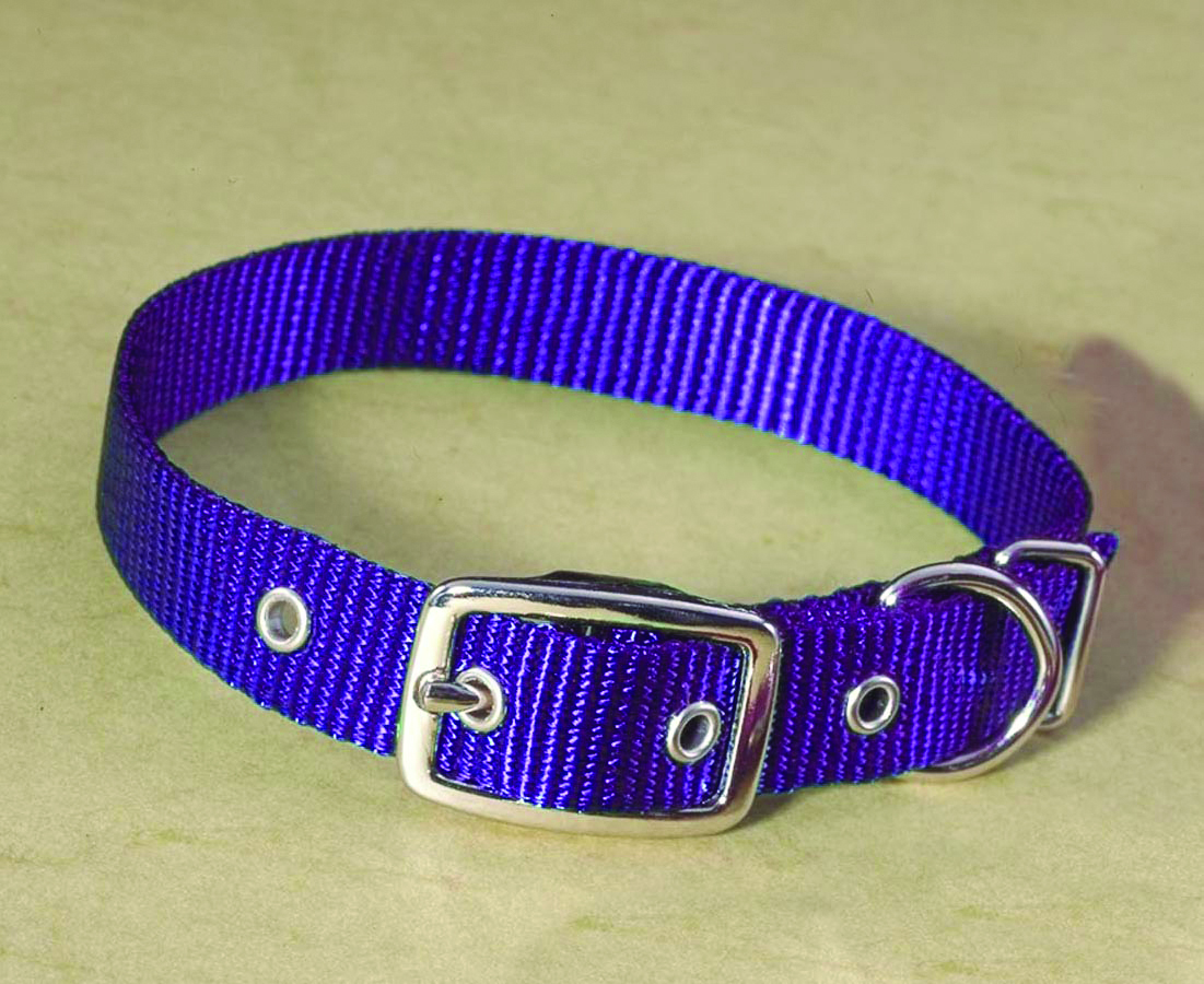 5/8" Nylon Dog Collar - Hot Purple 14