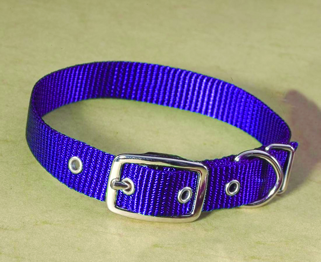 5/8" Nylon Dog Collar - Hot Purple 16