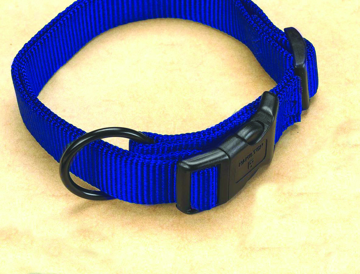 3/4" Fits All Adjustable Nylon Collar - Blue 16-22