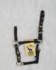 Pony Adjustable Halter W/snap - Black