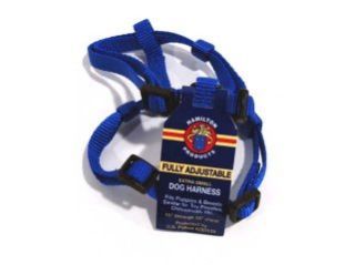 Adjustable Dog Harness - Blue - Extra Small