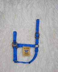 1" Quality Halter - Blue - Average