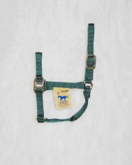 1" Quality Halter - Hunter Green - Average