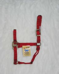 1" Quality Halter - Red - Average