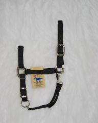 Quality Halter W/snap - Black