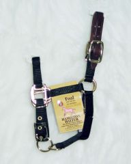 Foal Adjustable Halter W/leather Head Poll - Black