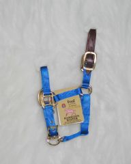 Foal Adjustable Halter W/leather Head Poll - Blue