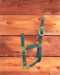 Foal Adjustable Halter W/leather Head Poll - Dark Green