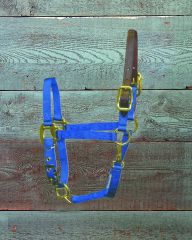 Pony Adjustable Halter W/leather Head Poll - Blue