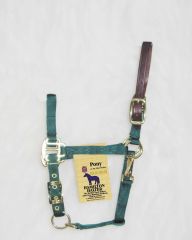 Pony Adjustable Halter W/leather Head Poll - Dark Green