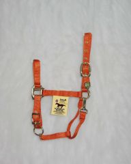 1" Adjustable Halter W/snap - Mango - Small