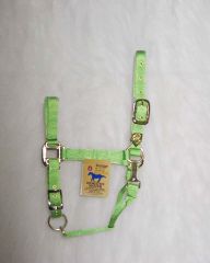 1" Adjustable Halter W/snap - Lime - Average