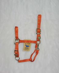 1" Adjustable Halter W/snap - Mango - Average