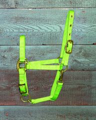 Pony Adjustable Halter W/snap - Lime