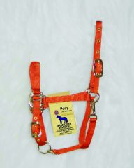 Pony Adjustable Halter W/snap - Mango